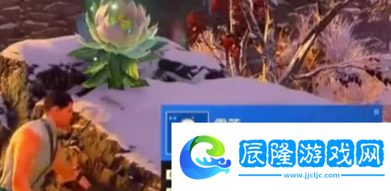 永劫無(wú)間手游雪蓮在哪