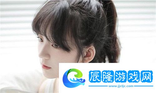 韓國理論大全，用戶提及：快速現(xiàn)代化與深厚文化根基結(jié)合，帶來全新啟示!