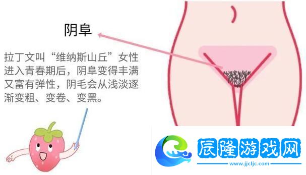 探尋“大蔭蒂bbbbbb大蔭蒂”的無限魅力