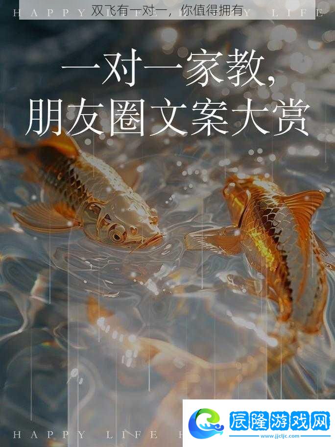 雙飛有一對一